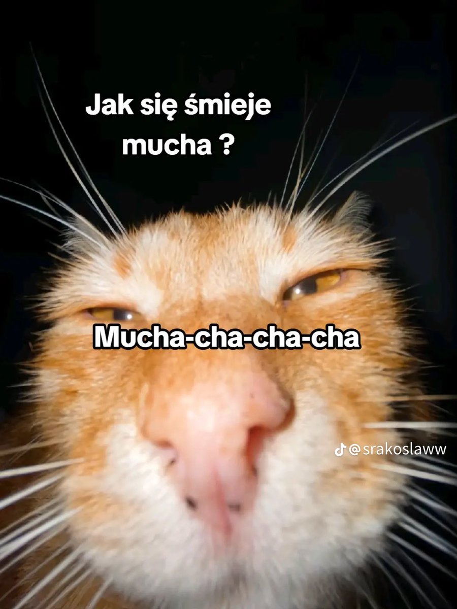 4:32, я на 14й гадзіне працы

увага, жарт, з якога мяне раз’ябала: