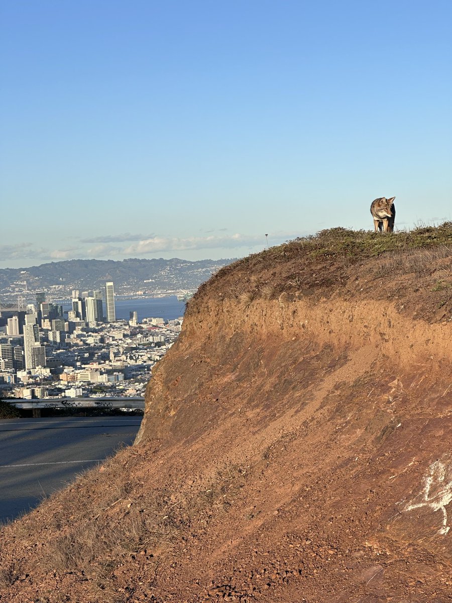 Robera Geleta tweet media