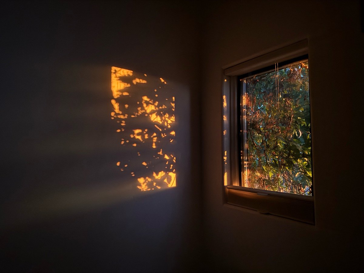 فتحنا الصدورَ لنور الصباحِ
يقينًا سنبلغُ ما نحلُمُ"