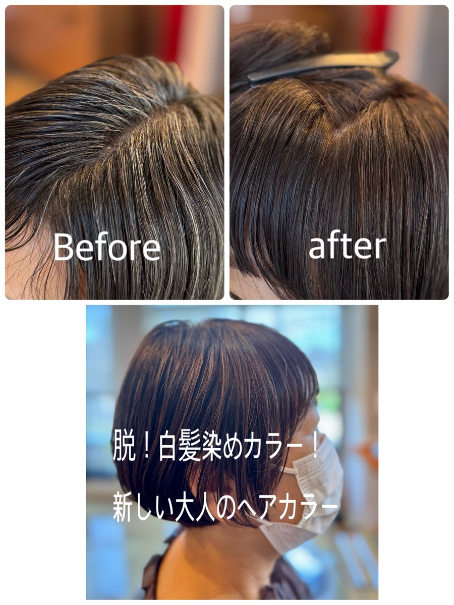 1969tasha's tweet photo. 大人女性のための美髪提案！
『 グレーカラーメソッド × カチナ 』
白髪を白髪カラー剤を使わずにツヤのあるキレイに染めるカラーテクニック！
#脱白髪染めカラー剤 https://t.co/JMiVSGtXrS