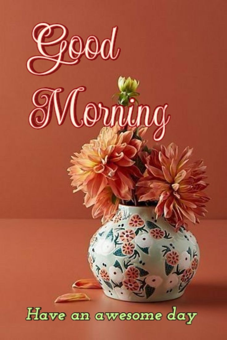 anonymous_2579's tweet photo. Good morning 🌞 https://t.co/KTwDfg6KVP