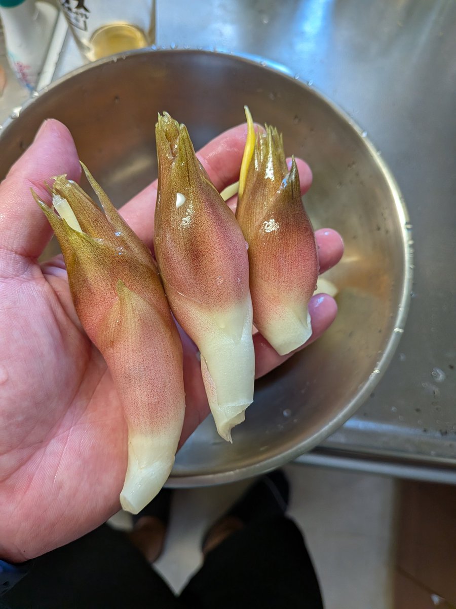 春に実家から根をもらってきてプランターに植えてたみょうがができたー
今年は出ないと思ってたけどたくさん収穫
そしてでかい