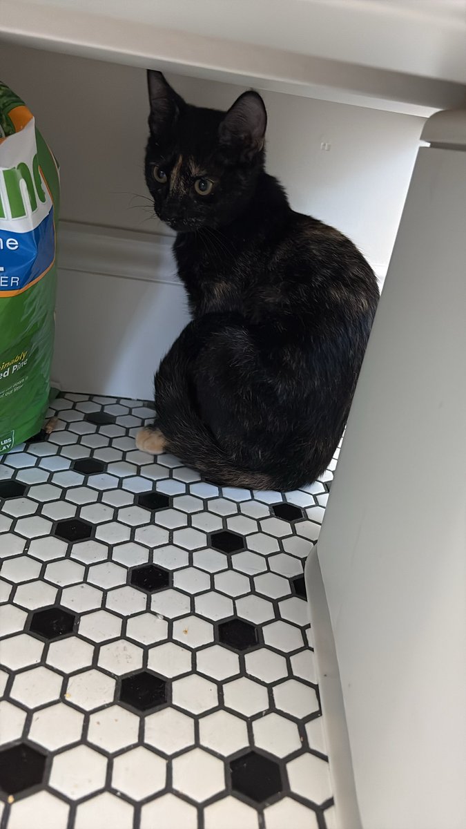 This is Kyber yall. 🙂‍↕️