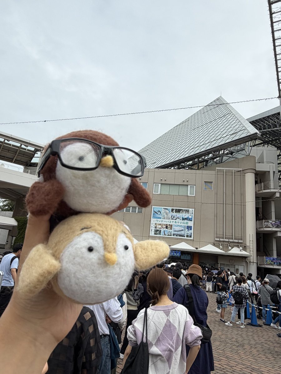 colorfulmelody9's tweet image. 赤ちゃんスズメのクレープを食べて、
聖地巡礼するために来た！！！
チケット交換の列がすごい💦
(無事食べれますように🙏

#40までにしたい10のこと