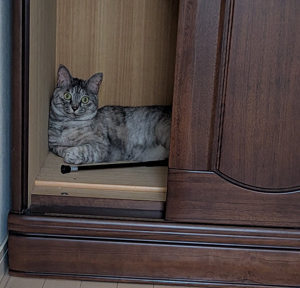 あなたクローゼット本当に好きね(笑)