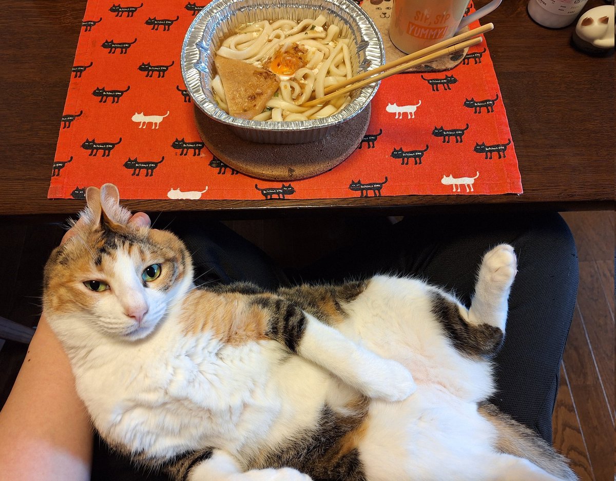 kawaii_nekoniko's tweet image. 煮込みきしめんたべました