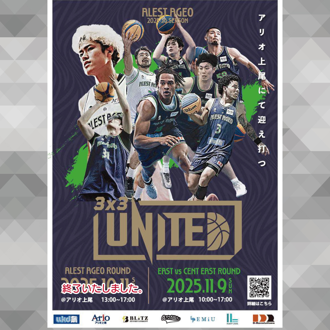 アオペラ 永臣 まとめ売り アオシマ文化教材社 新世紀GPXサイバーフォーミュラ 1/24 アオイ 凰呀