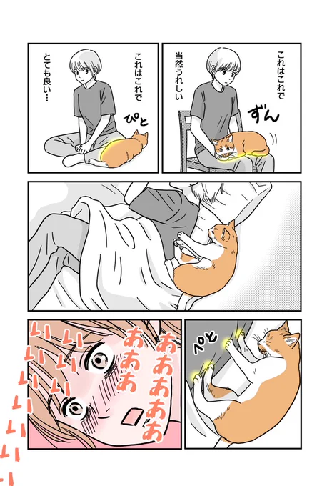ねこ4点責め 
