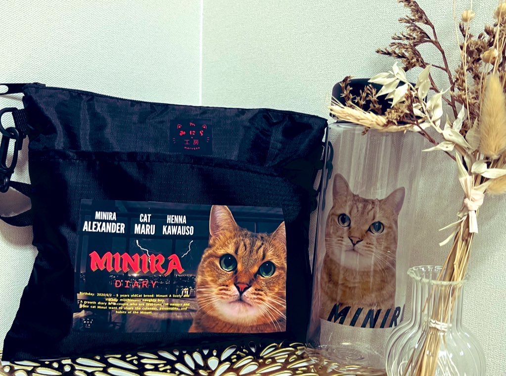 MiniraDiary's tweet image. 【大好評‼︎MINIRAサコッシュ】
猫好きに届けたいファッションブランド
「みにら工房」vol.1 MINIRAサコッシュ
ちょっとしたお出かけのお供に🐈💨
テント素材で作るサコッシュ
アウトドアにもピッタリ📍
🩶グレー売り切れ
⚠️各色、残りわずかです🙇
↓↓MINIRAサコッシュ(全4種)のご購入は💁♀️…