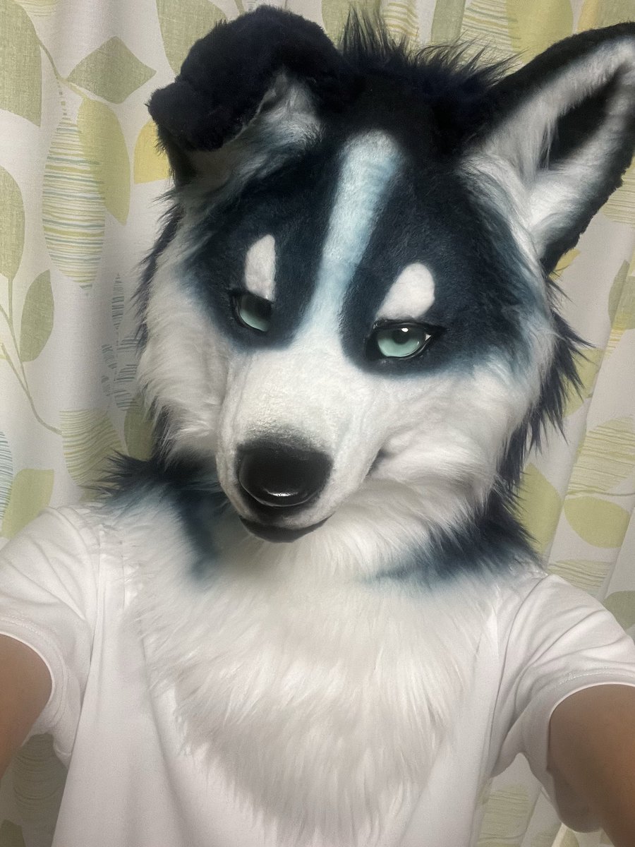 フィン(Finn)🔜デザフェス tweet media