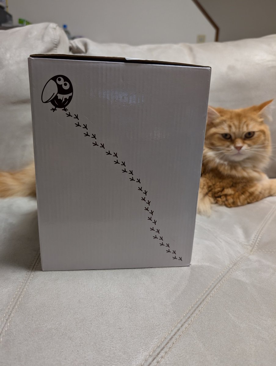 確認⸜(๑⃙⃘'ᵕ'๑⃙⃘)⸝⋆* ふぁいち on X