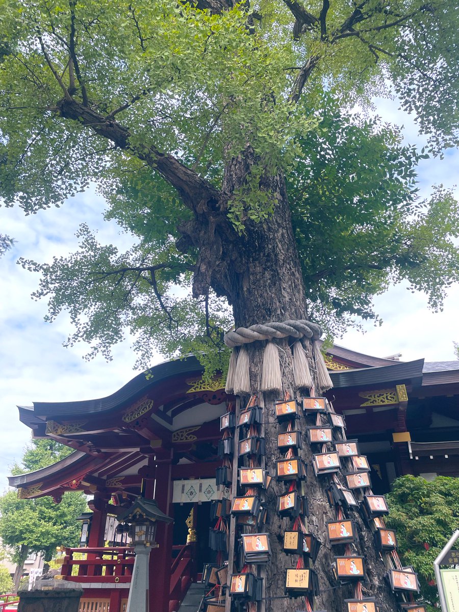 doubletree_kazu's tweet photo. 素盞雄神社(スサノオジンジャ)⛩️（東京都荒川区南千住）へ。桜井識子さんの新刊を読み、行ってみたい！と出勤前に参拝してみました！おみくじ引いてみたい😆#素盞雄神社　#スサノオ　#スサノオノミコト　#南千住　#神社仏閣　#桜井識子 https://t.co/3Emig7vWeA