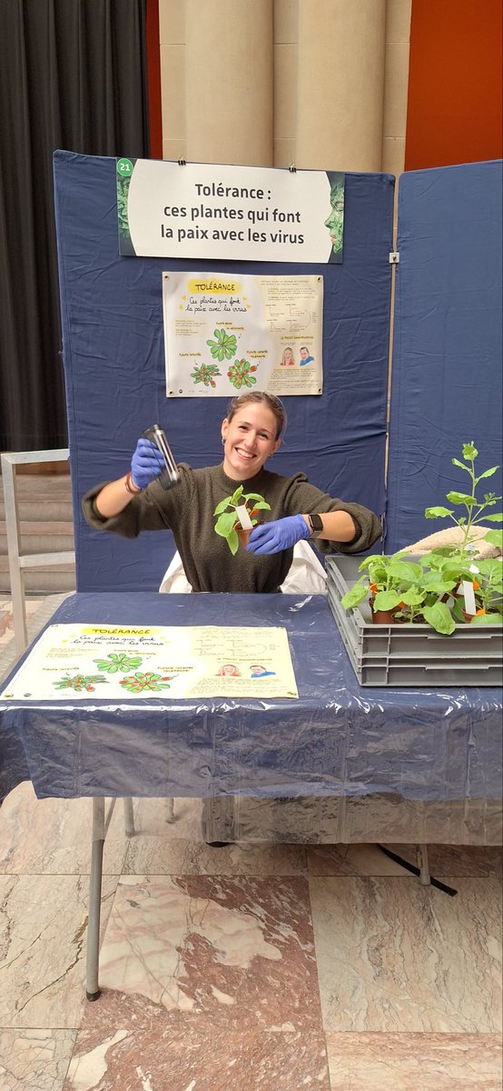 Laura Elvira-González tweet media