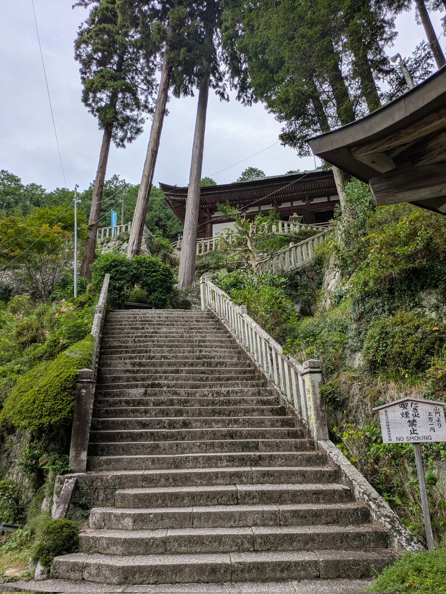 simomutter's tweet image. 登ったと思ったらまだ上があって絶望