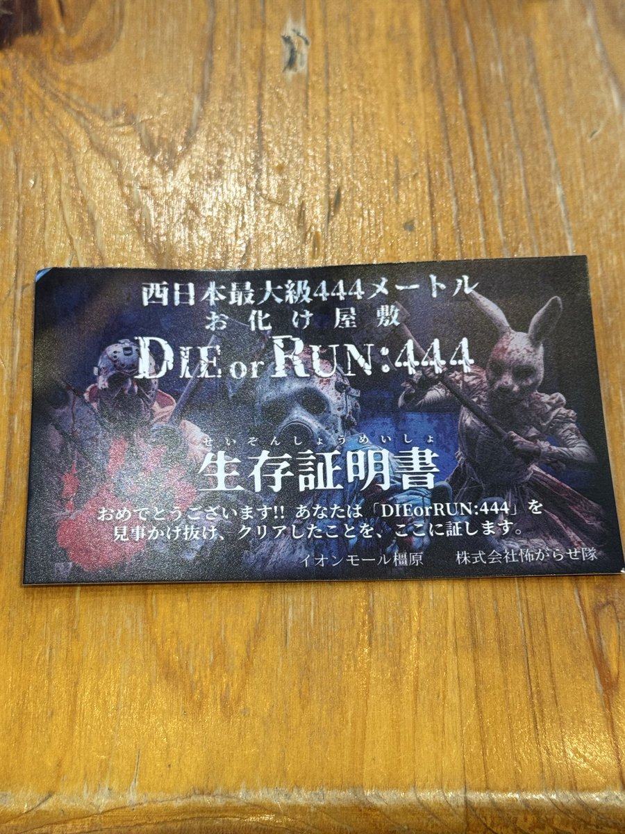 めっちゃ追いかけられた