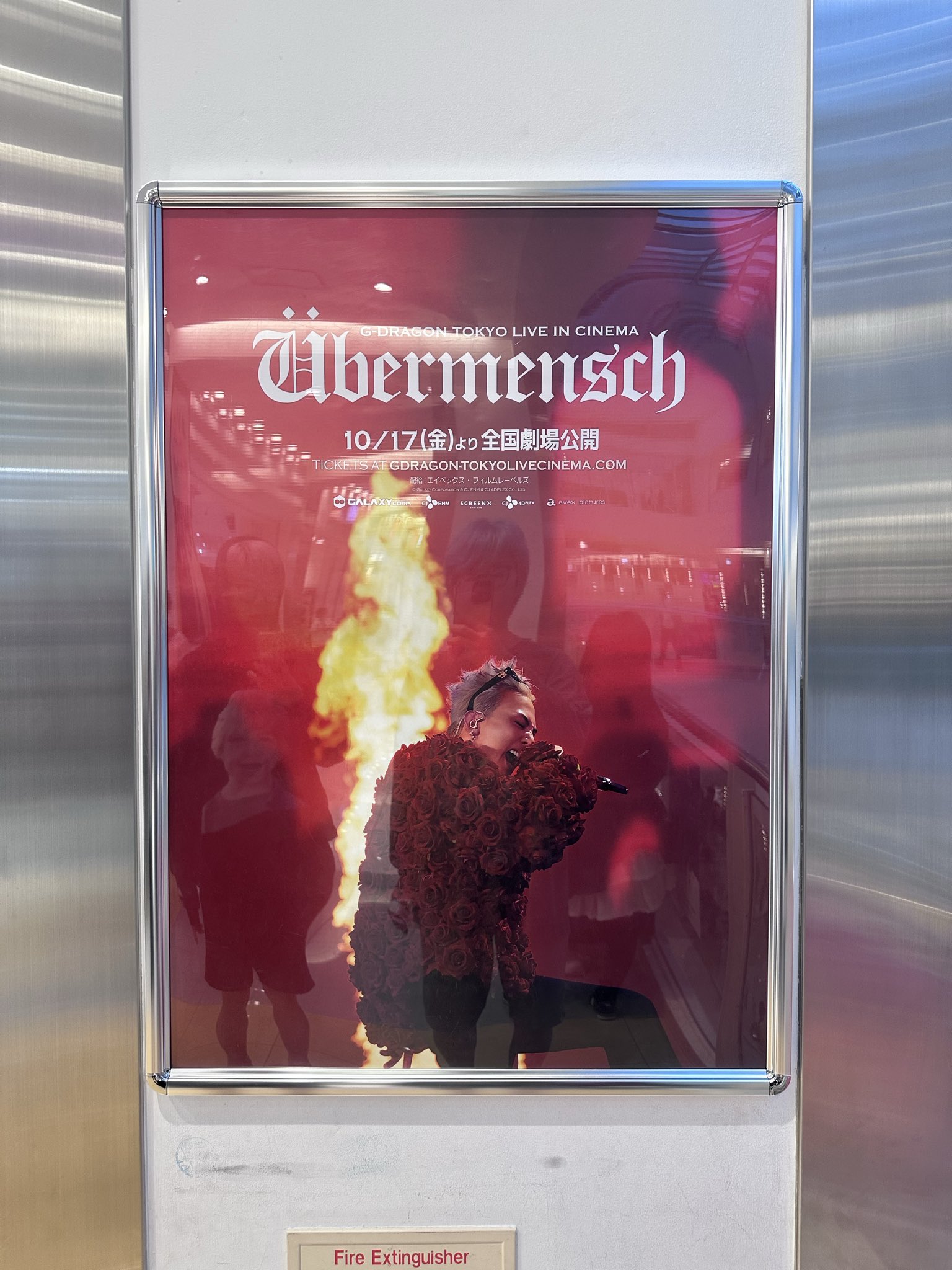 gdragon見つけた - Search / X