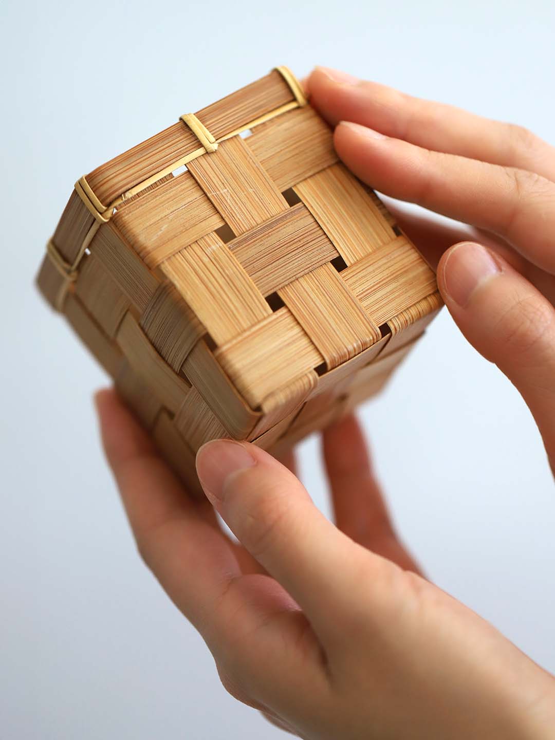 【たけとら】 S.jpg