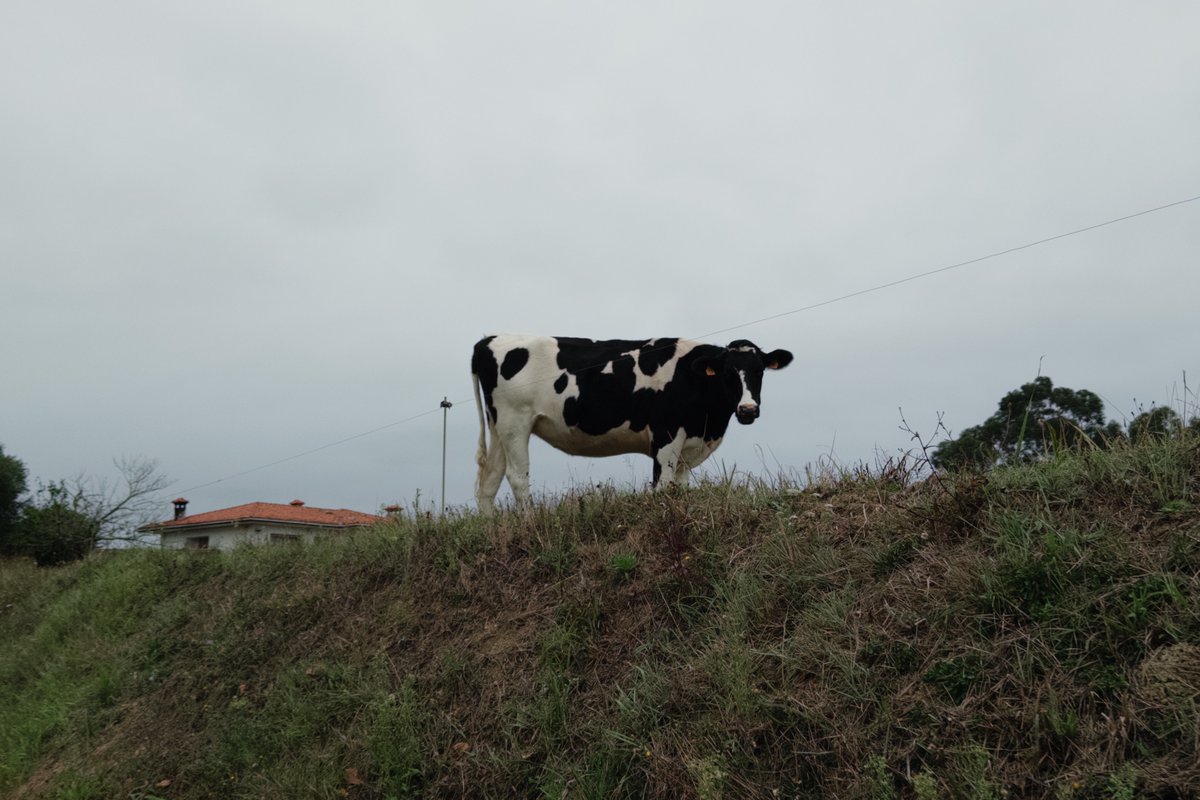 una semana aquí ha sido suficiente para darle una vuelta a todo 🧘🏻‍♂️