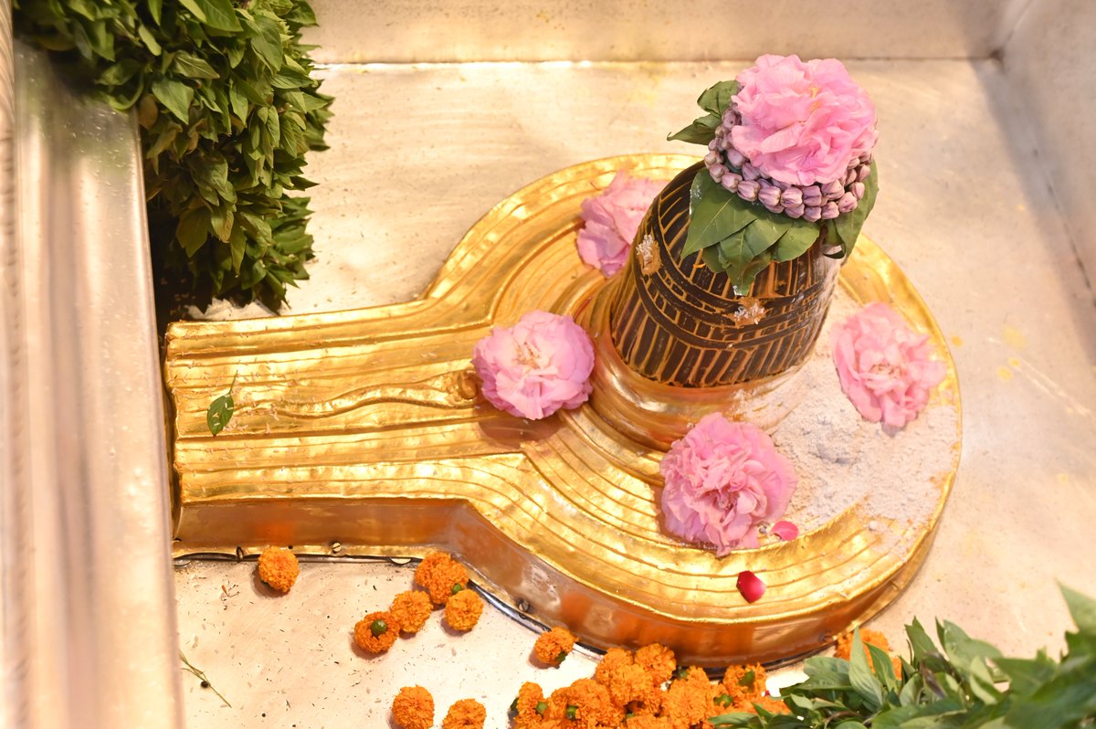 ShriVishwanath's tweet image. श्री काशी विश्वनाथ जी की मध्यान्ह-भोग आरती I 
#kashi #darshan #kashivishwanath #VishwanathDham #blessings