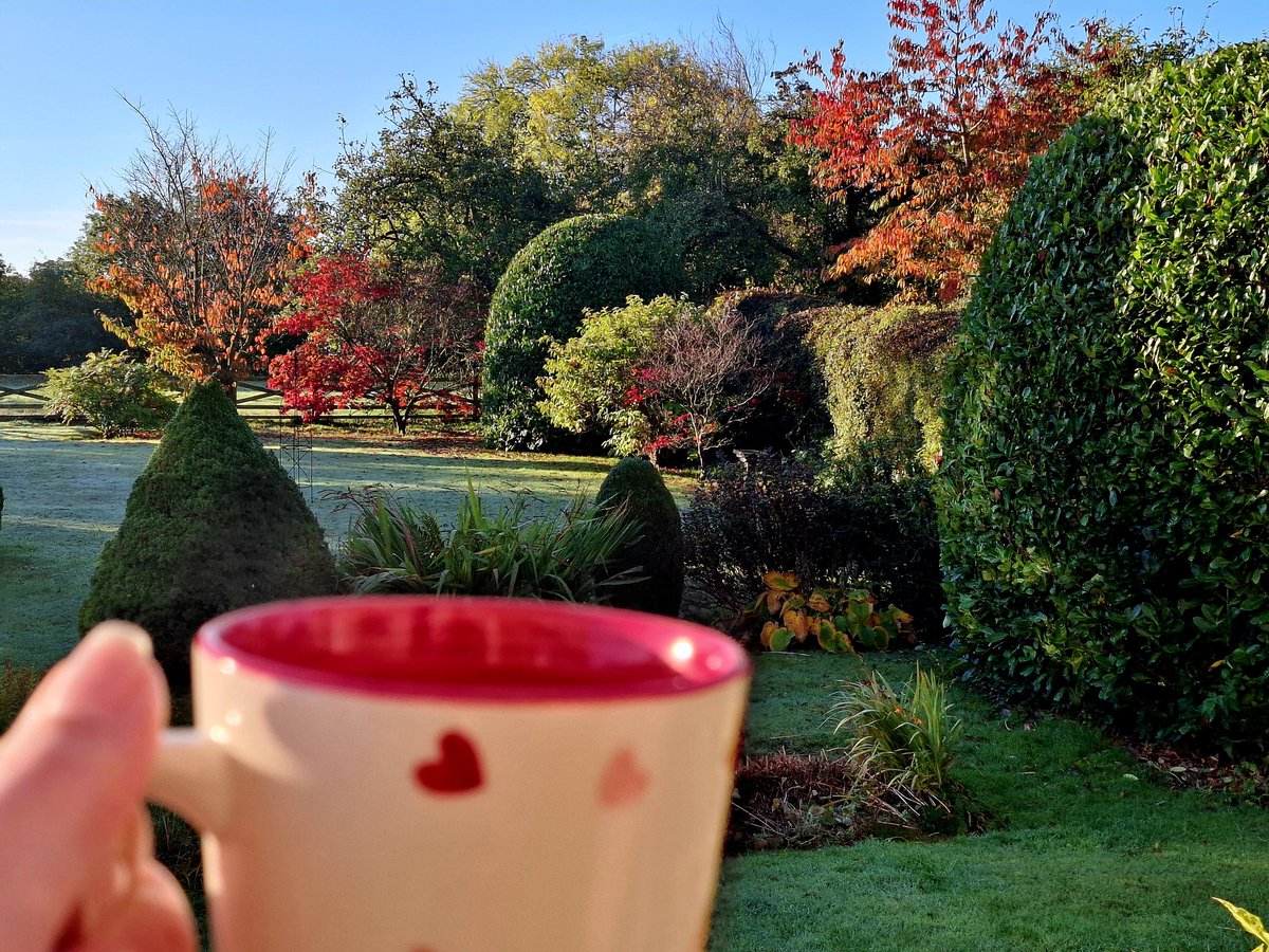 Its a brew outside kinda morning.
Chilly, clear, gorgeousness.
#loveautumn #teesdale
