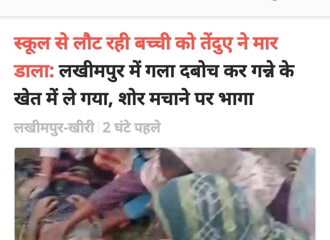mediacellsp's tweet image. बहराइच में तेंदुए ने महिला पर हमला किया, बहराइच में भेड़िया ने कई लोगों पर हमला किया और घायल किया, लखीमपुर में तेंदुए ने बच्ची को मार डाला।
पूरे यूपी में बाघ, तेंदुए, भेड़िए का कहर जारी है लेकिन भाजपा की निकम्मी, नकारा, भ्रष्ट सरकार बेपरवाह है।