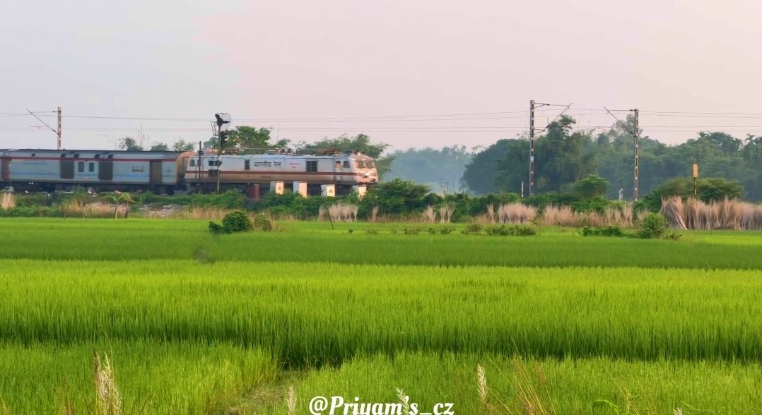RailFanatic's tweet photo. Train in Green 

In frame 15959 Kamrup Express Rushing through the green Landscapes of Ambari on a bright early Morning lead be WAP-7 with Pace 

#Train #Green

@RailMinIndia @RailNf @drm_apdj @drm_lmg_nfr https://t.co/GSK5zqE57l