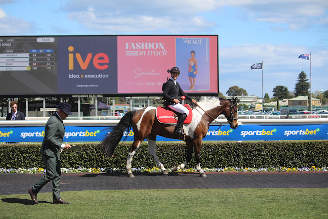 RacingPedigrees's tweet image. one trainer's day!

@HayfieldsRacing