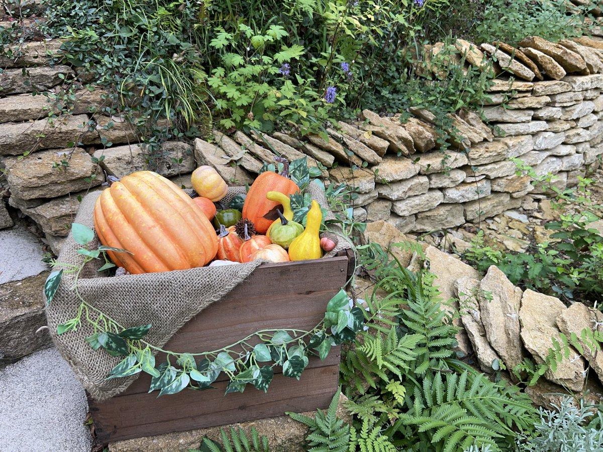 rcbtwww's tweet image. #ぬくもりの森　#ゆくもりガレリア　#cachecache  #森のチーズケーキやさん　#ハロウィン🎃
キッシュがすごく美味しかった
とても素敵な場所で癒されました