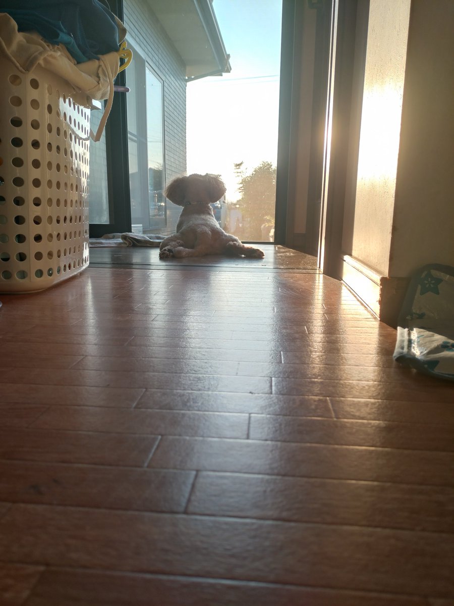 黄昏タイム