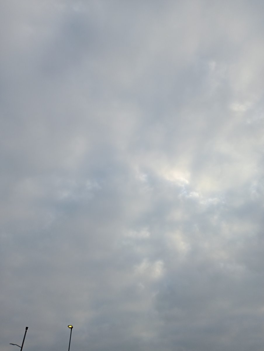 Frequency tweet media