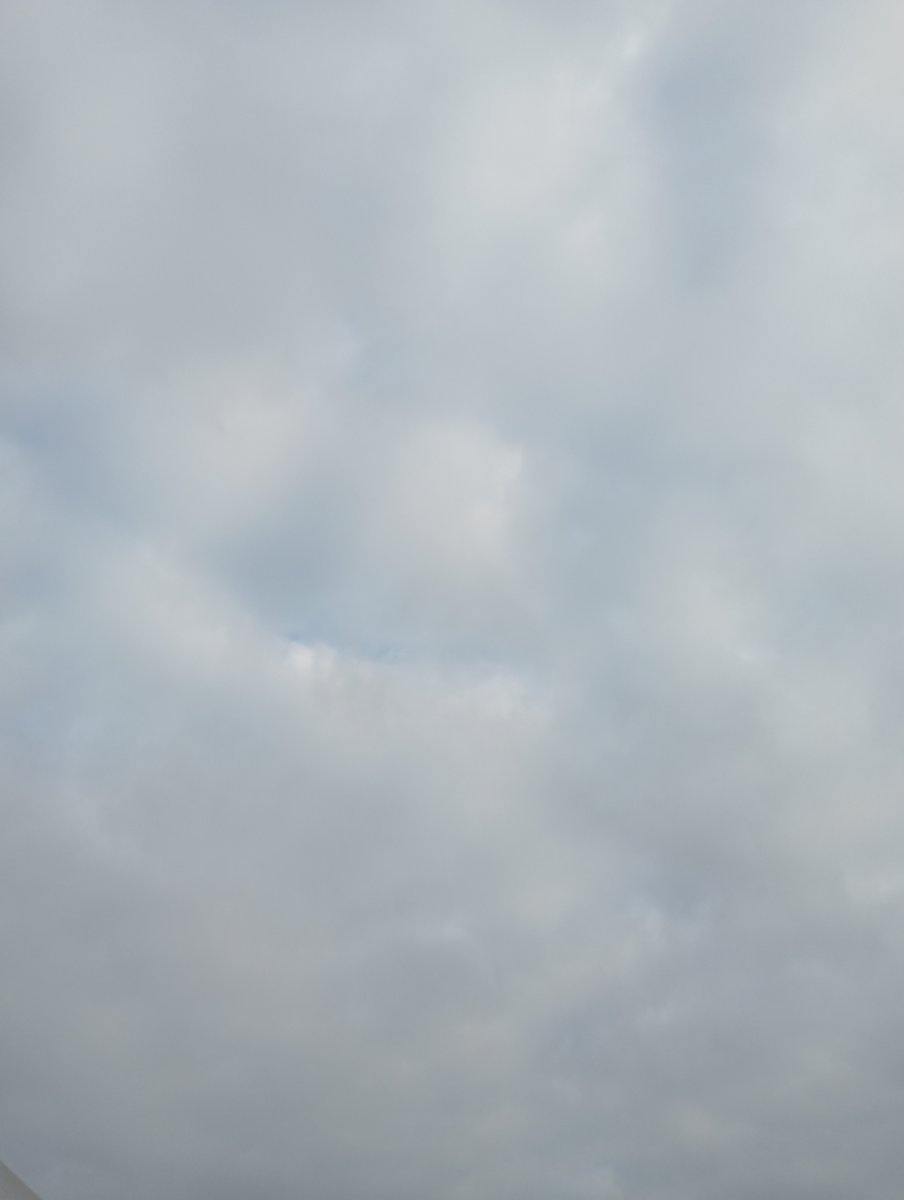 Frequency tweet media