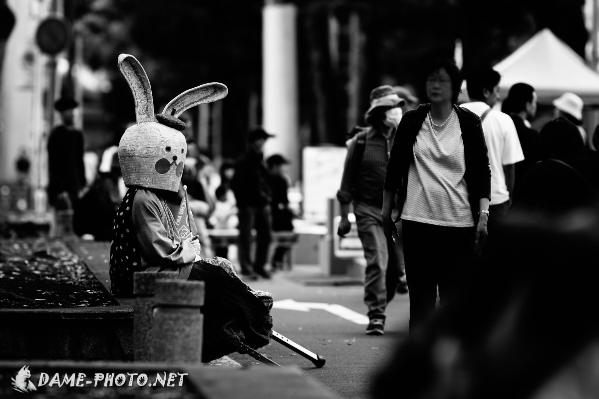 ラビッ党🐰
#写真好きな人と繋がりたい
#Nikon #Z6III