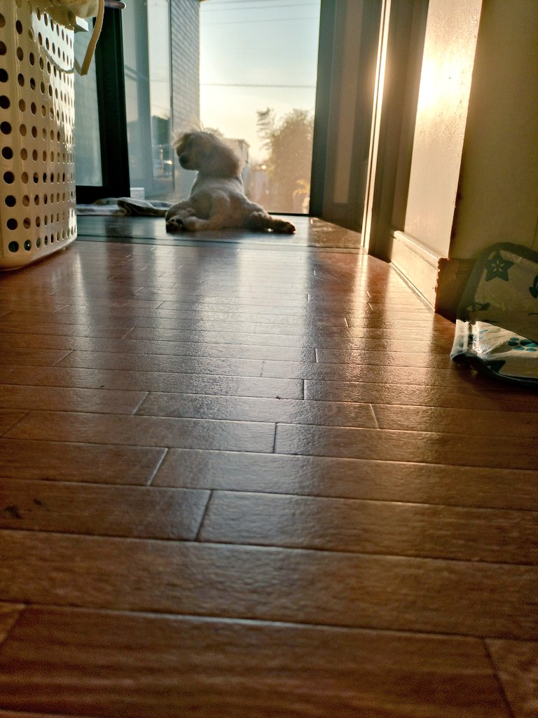 ばれた笑