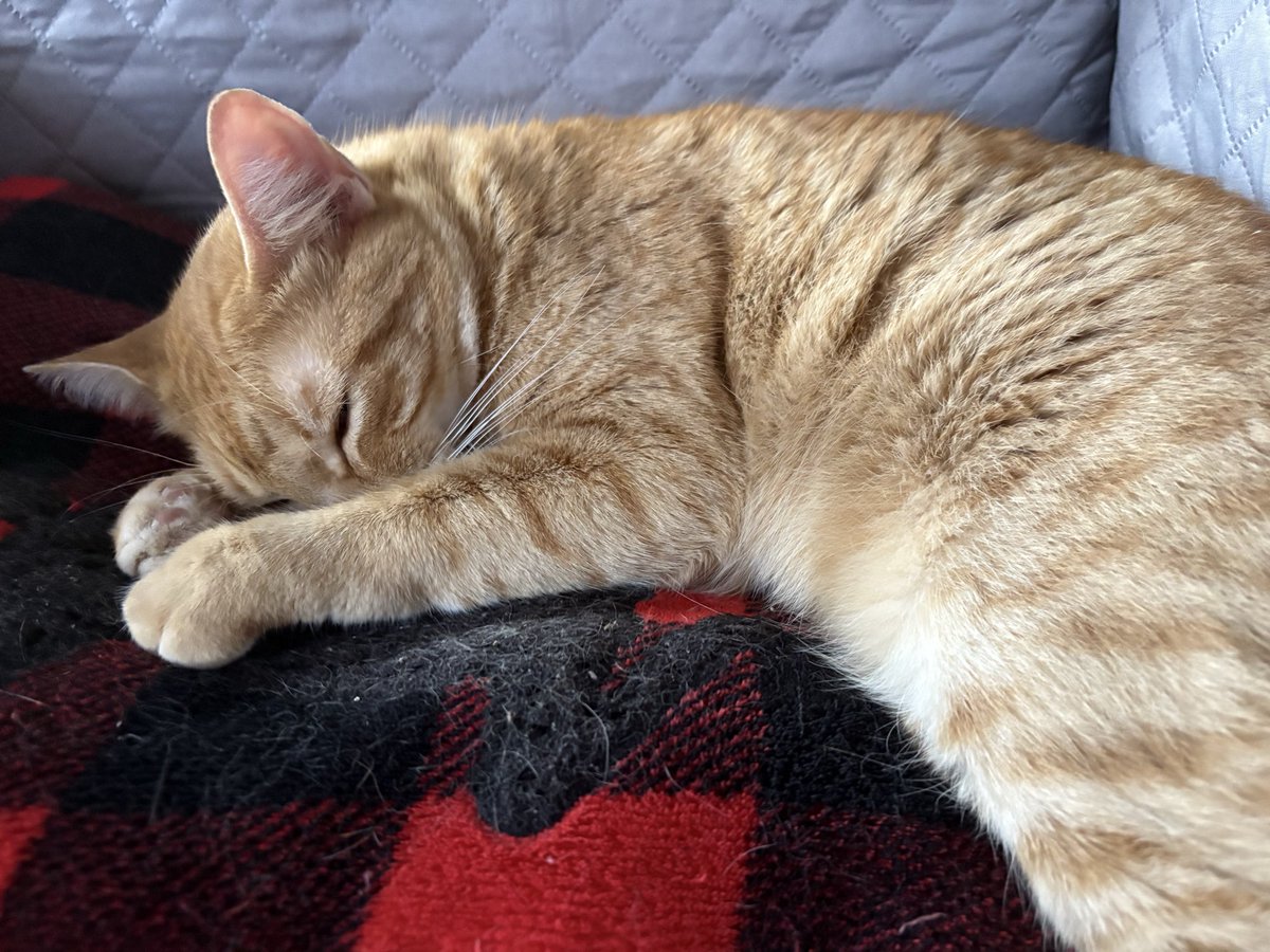 Mi hijo