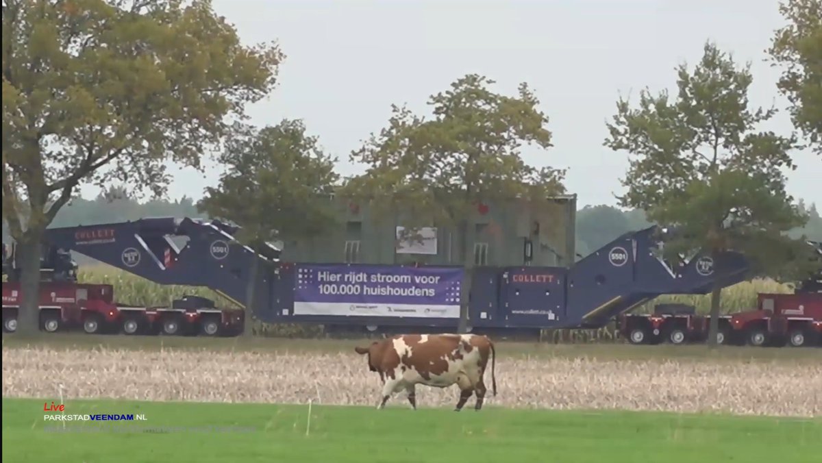 smeerlingantiek's tweet image. Mega transport #transformator.
Een koebeest zag het gaan en dacht, wanneer ga ik in #transitie voor een #duurzane veehouderij?
