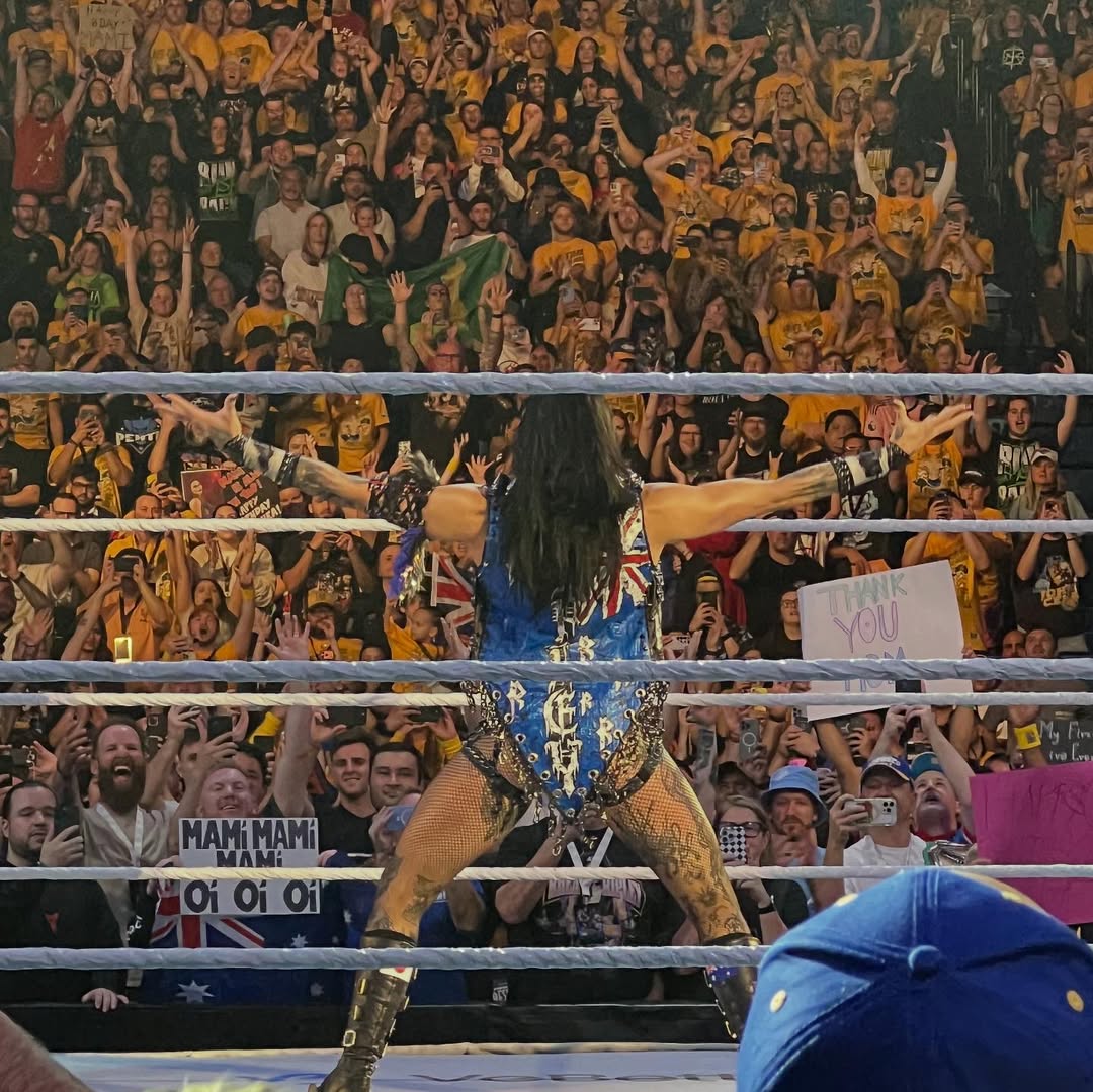 MINIONS!!  TONIGHT...WE STEAL... THE...MOON!!! 🗣