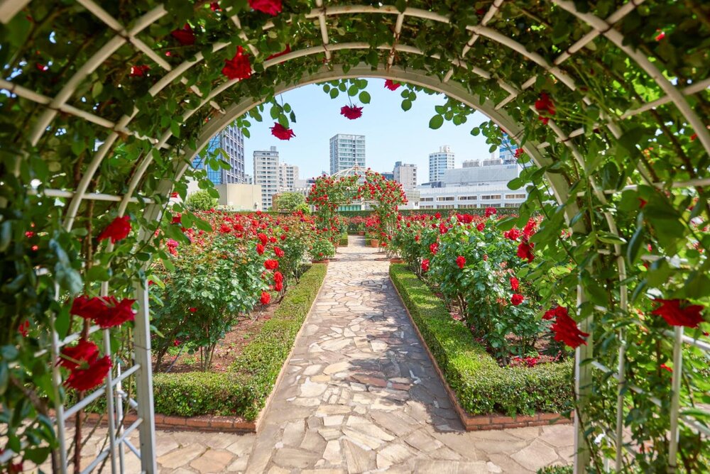 fashionpressnet's tweet image. ホテルニューオータニ(東京)、3万輪のバラ咲く&quot;秘密の花園&quot;で贅沢アフタヌーンティー - fashion-press.net/news/139150