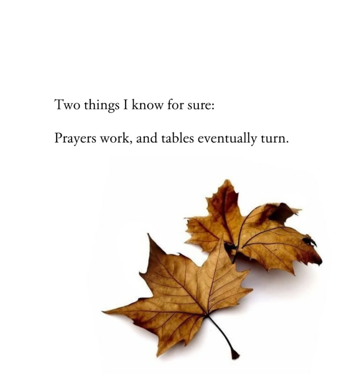 mindfulmaven_'s tweet image. 