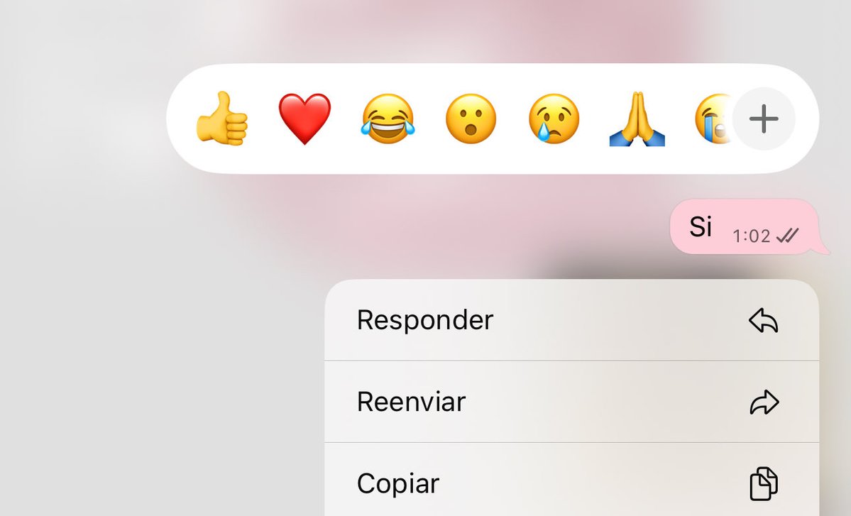 Mujer de pocas palabras