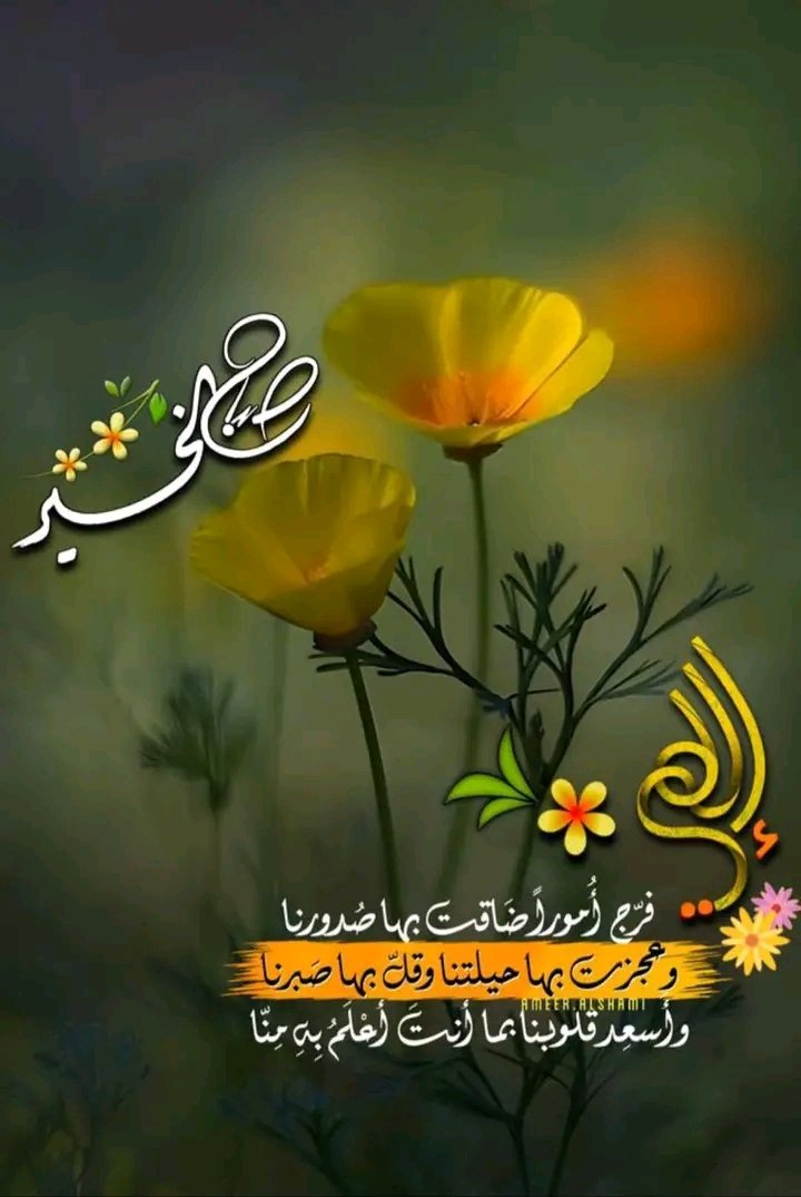 essllaammoo11's tweet image. اللهم امين امين امين 
اسعد الله صباحك ايها 
#العزيز_عزيز🥰🤝🌼🕊️🕊️🤍🤍