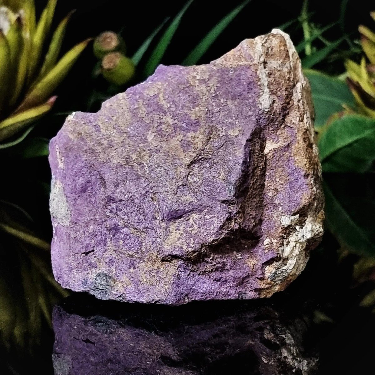 StoreVisions's tweet photo. Discover the rare energy of Purpurite! 🌌 Its rich hues invite deep reflection and clarity, perfect for moments of insight. Add this treasure to your collection and let its gentle wisdom guide you. ✨ #CrystalVisionsStore #Purpurite #CrystalHealing https://t.co/BFdALwAOec https://t.co/H3P23uuS4Q
