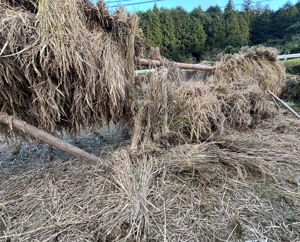 あーーーーーっ😱
かけ方が悪いとこうなります🥺
気がついてよかった