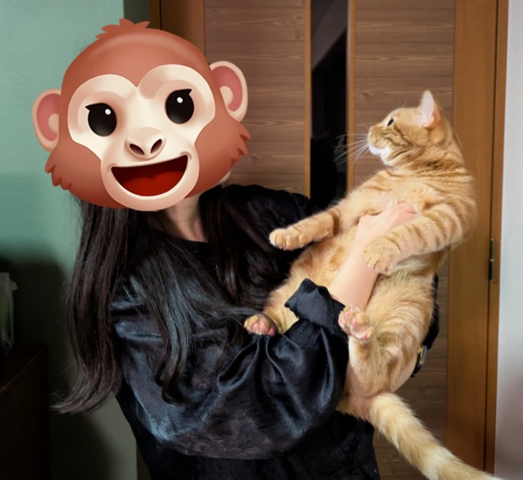 ぼん@🐅🐅🐅🐈🐅💨 tweet media