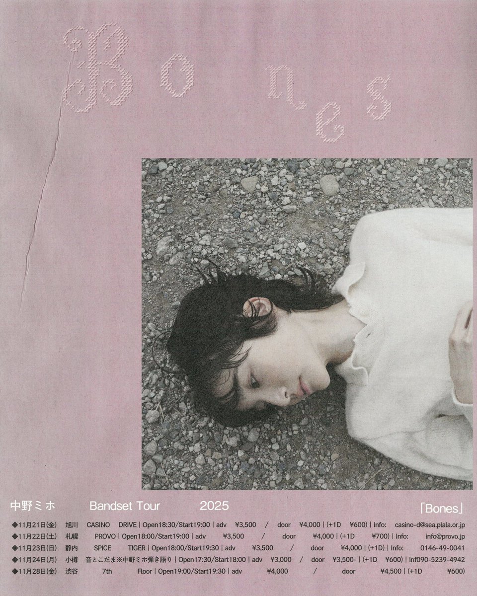 ミホ様.専用ページ Nissan 300ZX Illustrated Car Poster: JDM Enthusiast Art (digital