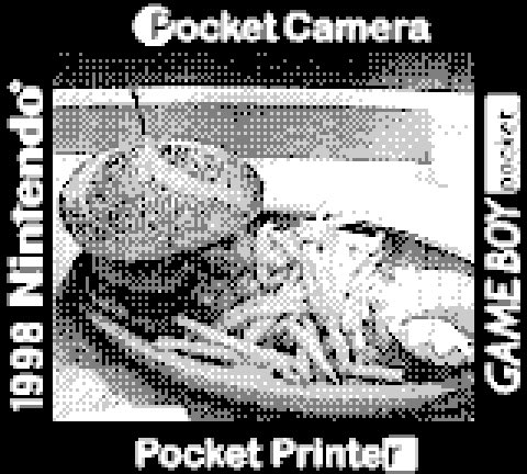 um89s's tweet image. 池袋
#pocketcamera
#ポケットカメラ