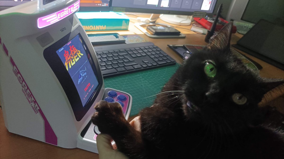 invidentus tweet media