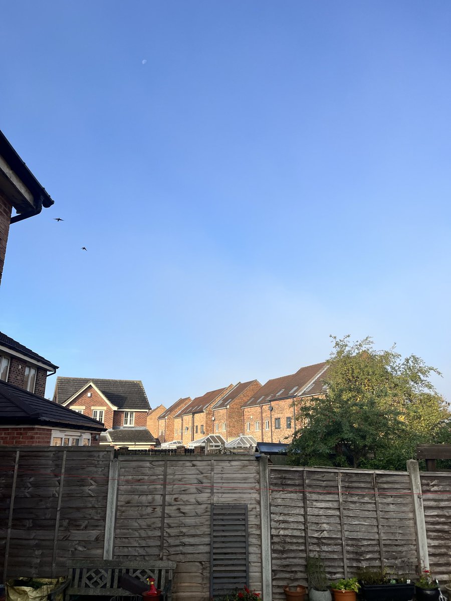 LeeHesp's tweet image. Foggy my arse.!! #fog