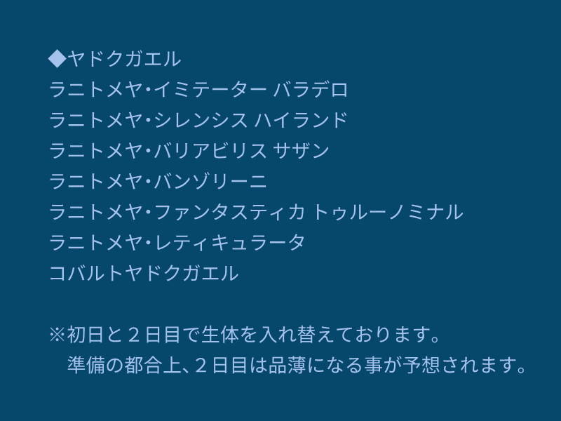 kaerunomori2021's tweet photo. 今週末（１０月１８〜１９日）はBIGレプ（東京BIGサイト）に出展致します。
以下、出展リストになります。
これ以外にも活き餌（ショウジョウバエ、トビムシ、シロホソワラジムシ）などあります。
#JRS 
#BIGレプ 
#ヤドクガエル https://t.co/K9jrrMT2IP