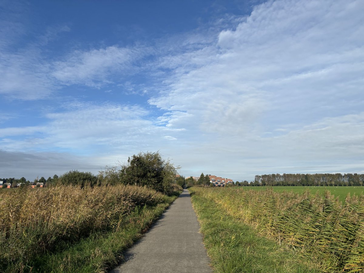 Mpvanderwal's tweet image. On the move by..  my Nikes.. 😅

I love it, hiking in my backyard 

#Zwolle #Stadshagen #OnTheMove