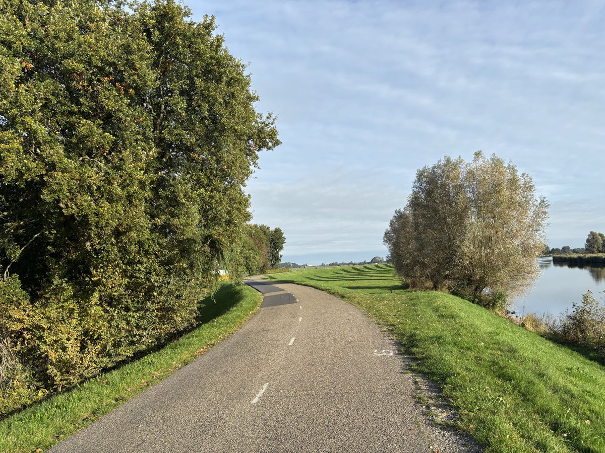 Mpvanderwal's tweet image. On the move by..  my Nikes.. 😅

I love it, hiking in my backyard 

#Zwolle #Stadshagen #OnTheMove